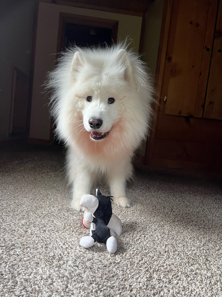 Kodak with his toy